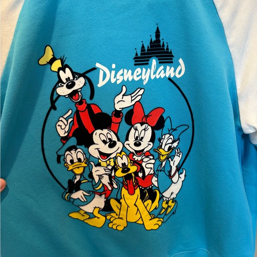 Disneyland Fab 5 Blue and White Zipper Hoodie Sweatshirt, L - Picture 11 of 15